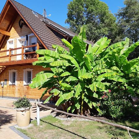 Salus Spreewald - Erholung & Natur - Kolonie  Bagian luar foto