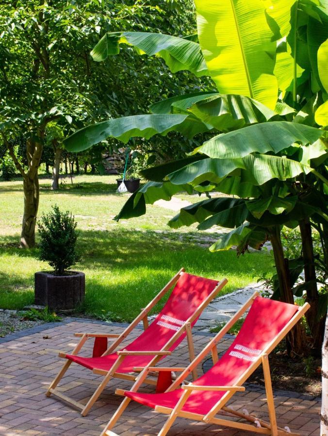 Salus Spreewald - Erholung & Natur - Kolonie  Bagian luar foto